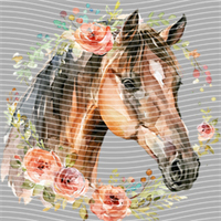 Animal Integration-DW 392